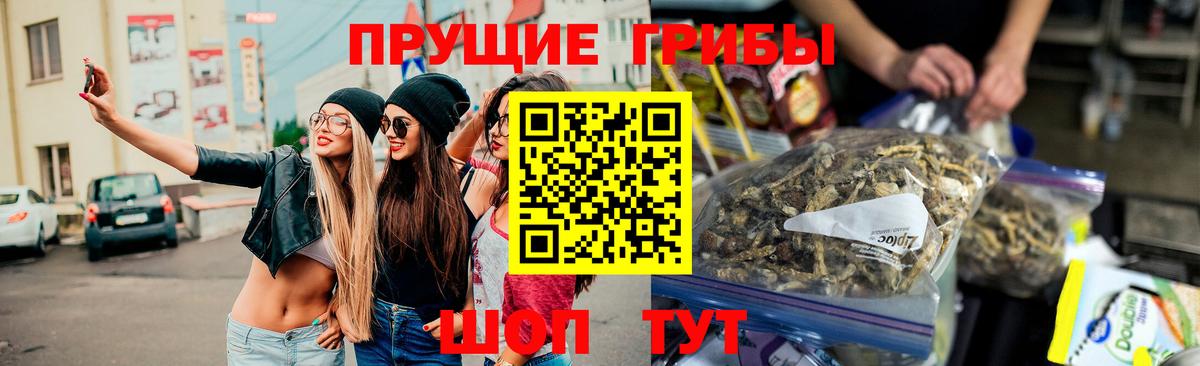 Псилоцибиновые грибы Psilocybe  Вход с VPN  Псилоцибиновые грибы Cubensis  Вязники 